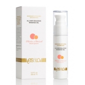 Универсальный массажный гель-смазка Allover Delicious Massage Gel с ароматом персика и аброкоса - 50 мл. - YESforLOV - купить с доставкой в Королеве