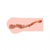 Мастурбатор-вагина Monica без вибрации - KOKOS - в Королеве купить с доставкой