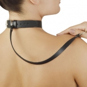 Леопардовый меховой ошейник с кожаным поводком - Sitabella - купить с доставкой в Королеве