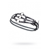 Черный кожаный пояс с кольцами - Pecado - купить с доставкой в Королеве