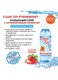 Очищающий спрей для игрушек CLEAR TOY Strawberry - 100 мл. - Биоритм - купить с доставкой в Королеве