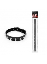 Черный ошейник с серебристыми шипами - Notabu - купить с доставкой в Королеве