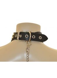 Ошейник  Веселый Роджер - Sitabella - купить с доставкой в Королеве