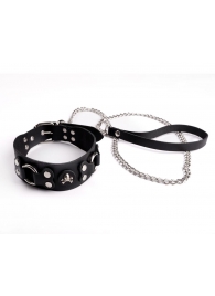 Ошейник  Веселый Роджер - Sitabella - купить с доставкой в Королеве