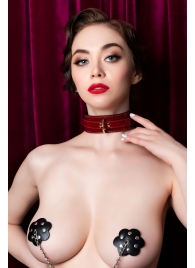 Красный ошейник из лакированного материала - ToyFa - купить с доставкой в Королеве