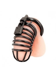Черная металлическая клетка с замком Deluxe Chastity Cage - BlueLine - купить с доставкой в Королеве