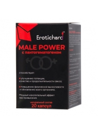 Капсулы для мужчин Erotichard male power с пантогематогеном - 20 капсул (0,370 гр.) - Erotic Hard - купить с доставкой в Королеве