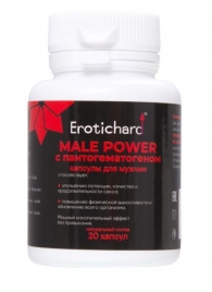 Капсулы для мужчин Erotichard male power с пантогематогеном - 20 капсул (0,370 гр.) - Erotic Hard - купить с доставкой в Королеве