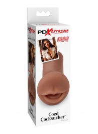 Мастурбатор-ротик Coed Cocksucker - Pipedream - в Королеве купить с доставкой