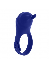 Синее эрекционное виброкольцо с клиторальной подушечкой и пультом ДУ Adjustable Fun Ring - Zero Tolerance - в Королеве купить с доставкой