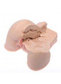 Мастурбатор-полуторс Naked Factory Kate - Naked Factory - в Королеве купить с доставкой