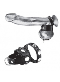 Утяжка для мошонки и пениса Cock Ring With 1  Ball Stretcher And Optional Weight Ring - BlueLine - купить с доставкой в Королеве