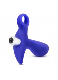 Синий стимулятор простаты с ручкой-кольцом Performance Prostimulator 02 - Blush Novelties - в Королеве купить с доставкой