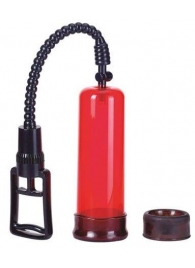 Вакуумная помпа с двумя сменными насадками NEW STAY HARD PUMP CLEAR RED - Seven Creations - в Королеве купить с доставкой
