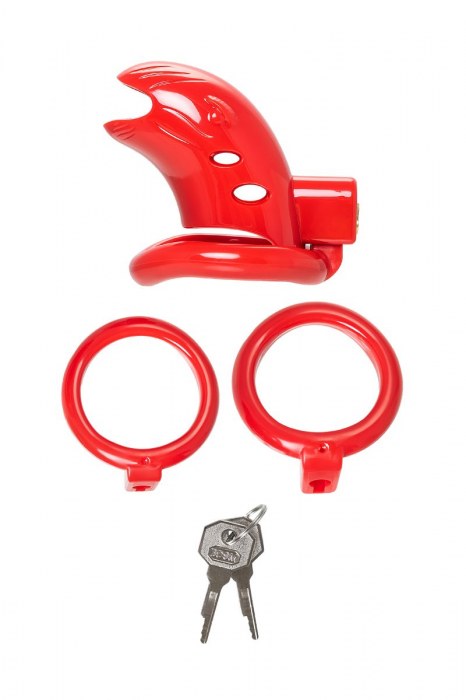 Красный мужской пояс верности из пластика - ToyFa - купить с доставкой в Королеве