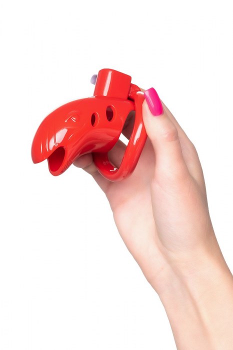 Красный мужской пояс верности из пластика - ToyFa - купить с доставкой в Королеве