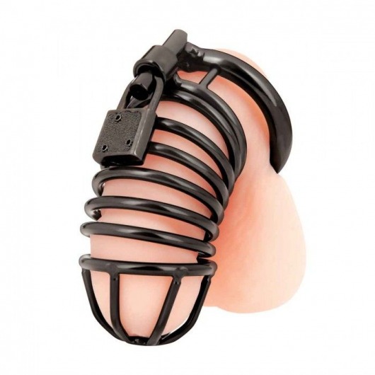 Черная металлическая клетка с замком Deluxe Chastity Cage - BlueLine - купить с доставкой в Королеве