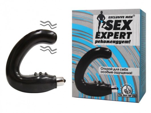 Чёрный массажёр простаты серии Sex Expert - Sex Expert - в Королеве купить с доставкой