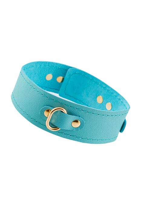 Голубой кожаный однослойный ошейник с прошивкой - Pecado - купить с доставкой в Королеве