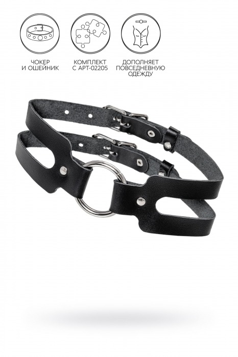 Черный кожаный чокер-ошейник из двух ремешков - Pecado - купить с доставкой в Королеве