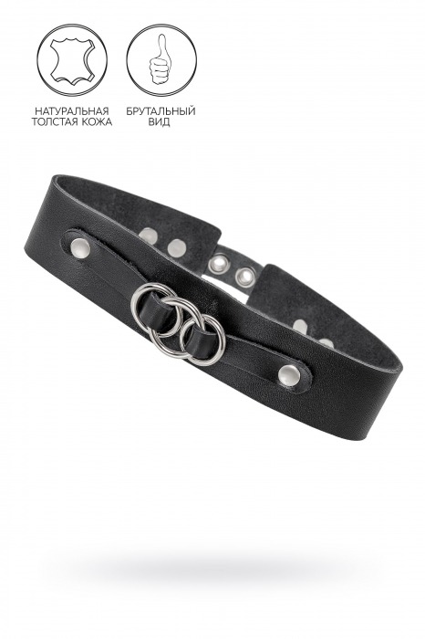 Черный чокер-ошейник со связанными кольцами на подложке - Pecado - купить с доставкой в Королеве