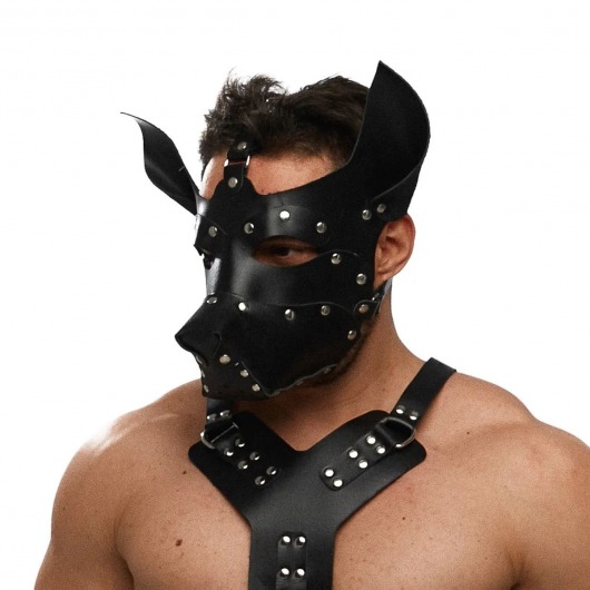 Черная кожаная маска «Собака» - Crazy Handmade - купить с доставкой в Королеве