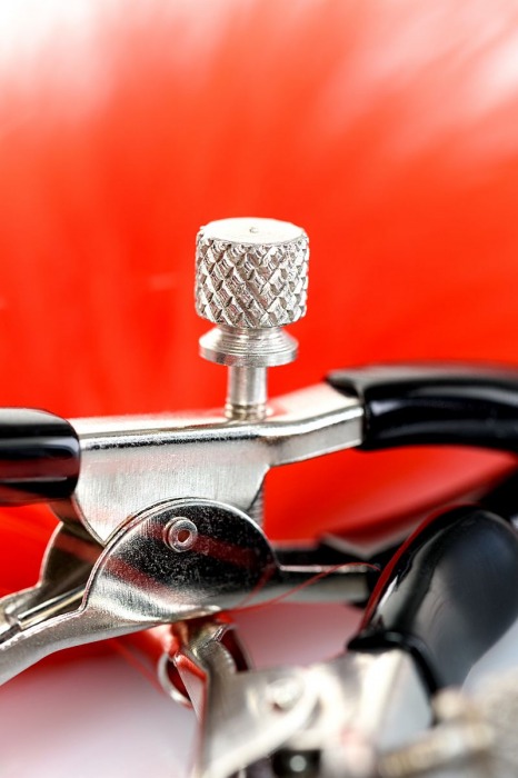 Зажимы для сосков с красным пухом Theatre - ToyFa - купить с доставкой в Королеве